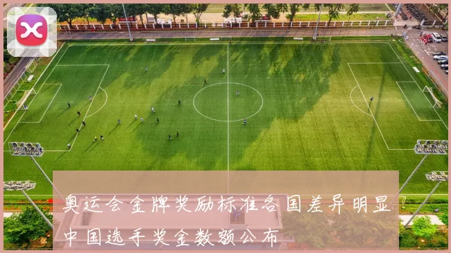 奥运会金牌奖励标准各国差异明显中国选手奖金数额公布