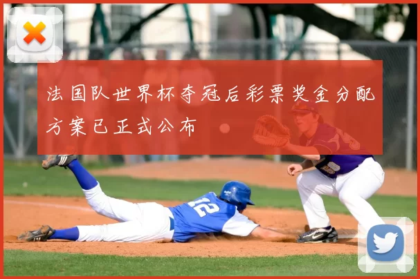 法国队世界杯夺冠后彩票奖金分配方案已正式公布