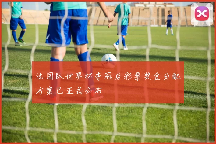 法国队世界杯夺冠后彩票奖金分配方案已正式公布