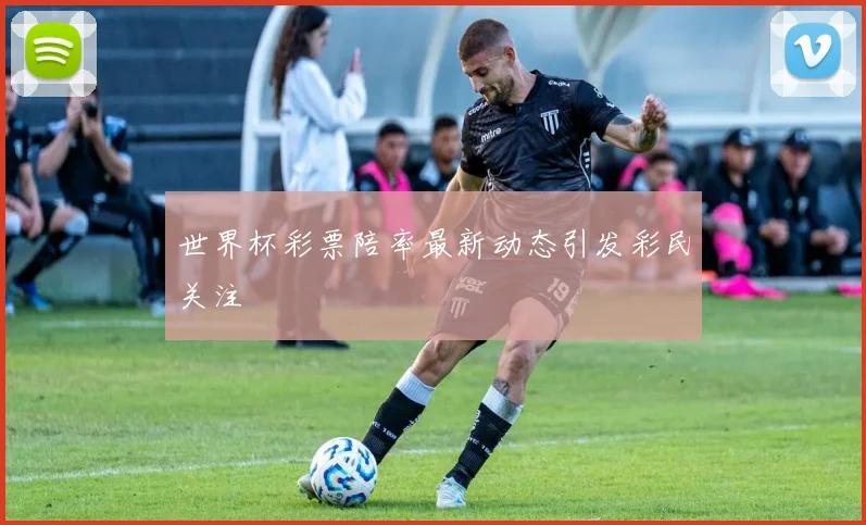 世界杯彩票陪率最新动态引发彩民关注