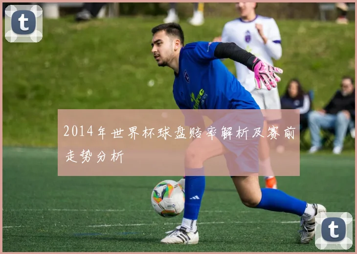 2014年世界杯球盘赔率解析及赛前走势分析
