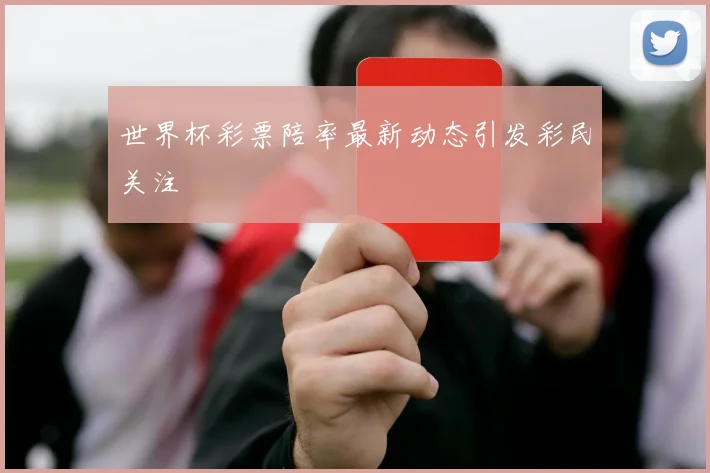 世界杯彩票陪率最新动态引发彩民关注